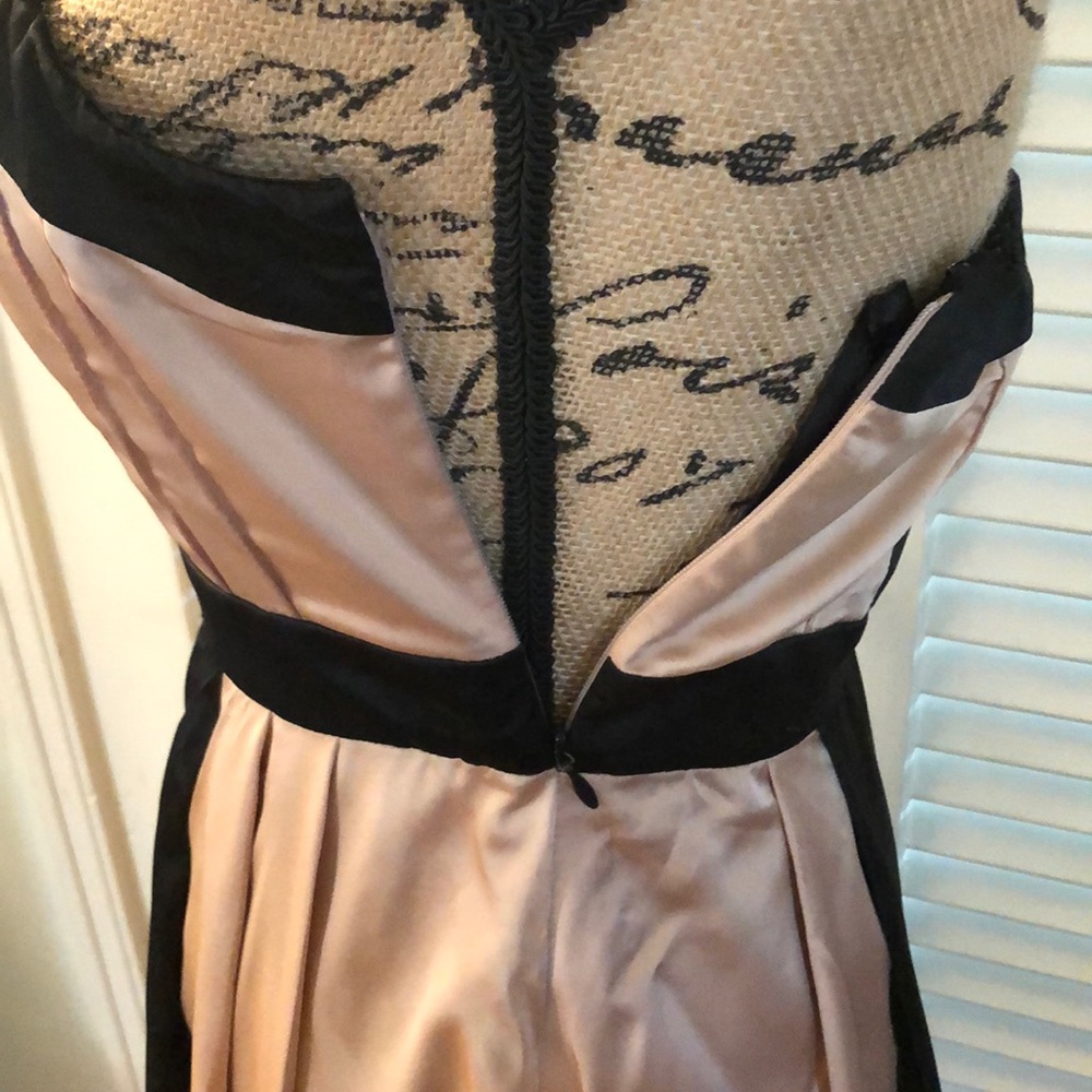 The Limited NWT! Strapless Satin Dress - Picture 6 of 8